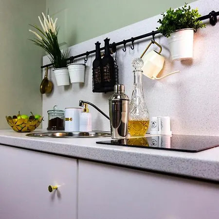 Zor Zon Apartament Timişoara