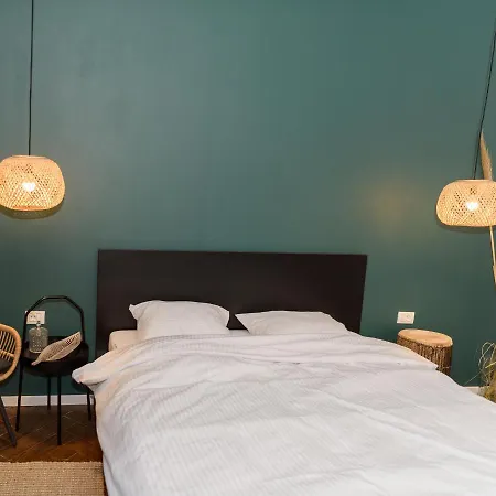 Zor Zon * Timişoara