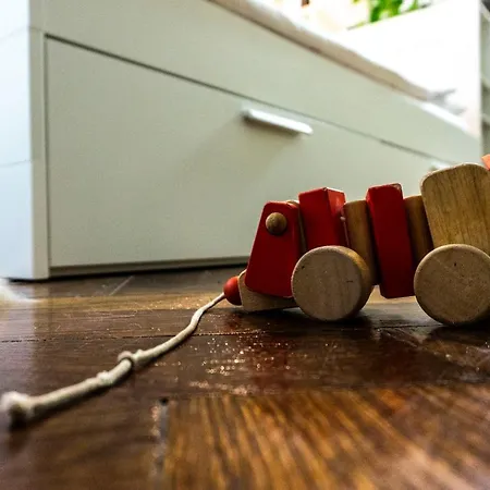 Zor Zon * Timişoara