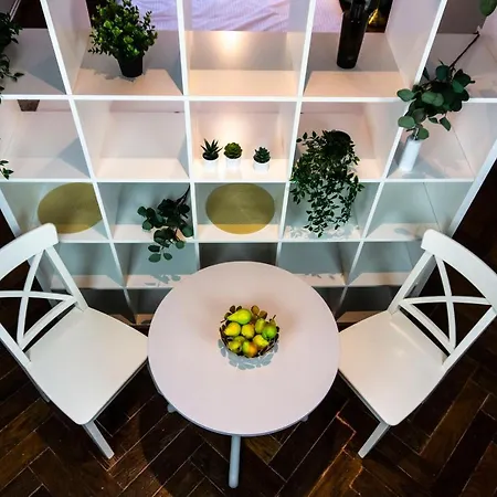 Zor Zon * Timişoara