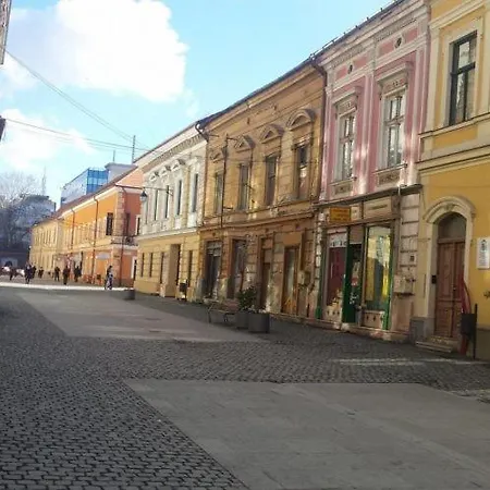 Zor Zon Apartament Timişoara