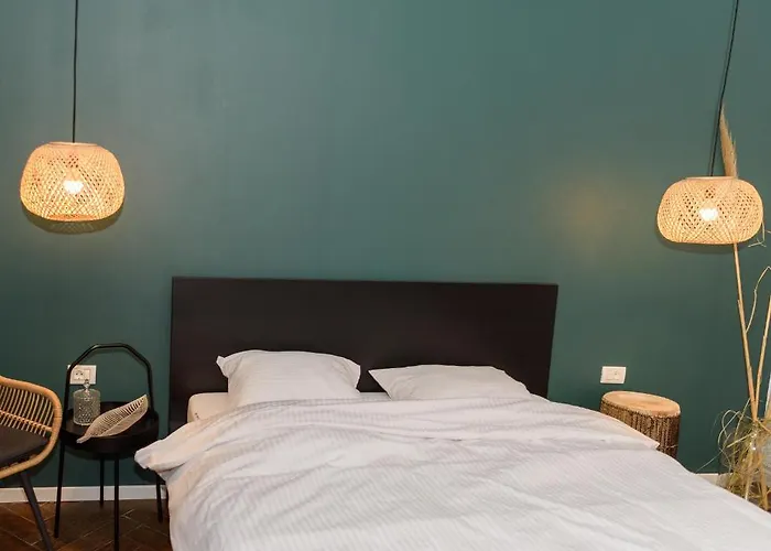 Zor Zon * Timişoara