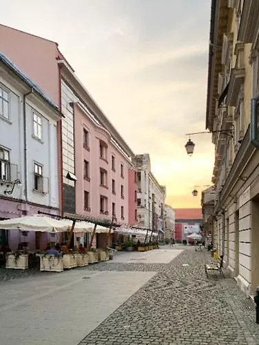 Zor Zon Appartement Timişoara