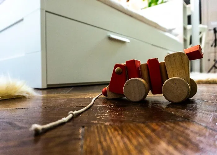 Zor Zon * Timişoara