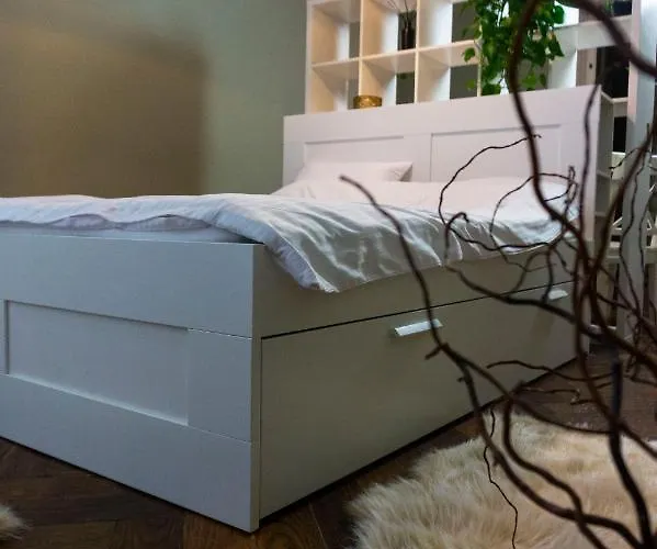 Appartement Zor Zon Timişoara