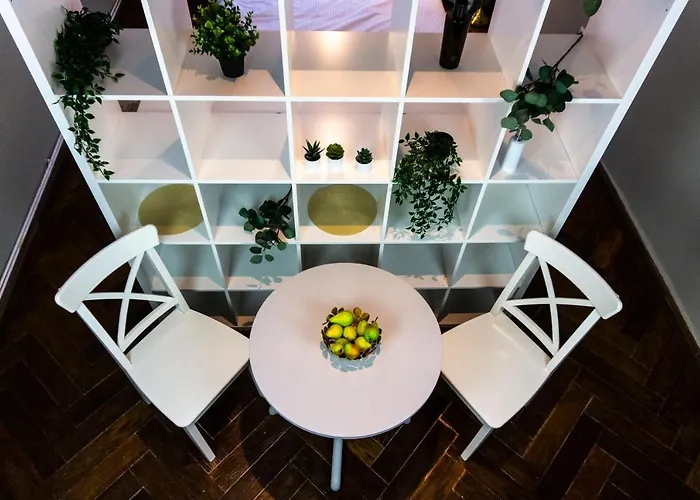 Zor Zon * Timişoara