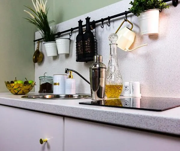 Zor Zon Appartement Timişoara